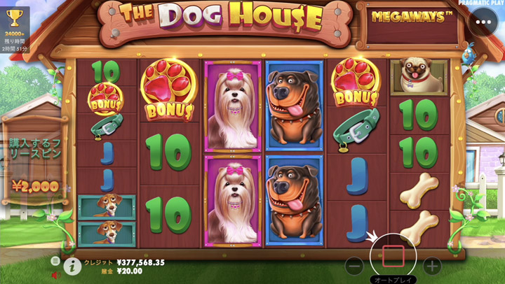 ボンズクリプトのTheDogHouseスロット
